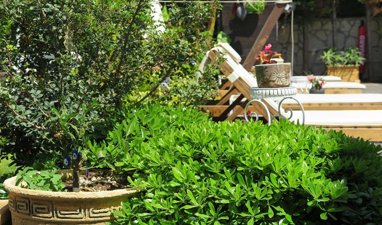 Bay C Hotel Alaçatı Ngoại thất bức ảnh
